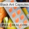 Black Ant Capsules 26